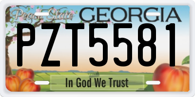 GA license plate PZT5581