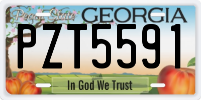 GA license plate PZT5591