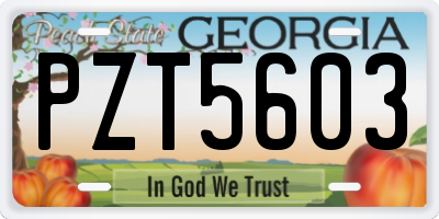 GA license plate PZT5603