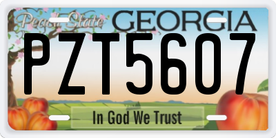 GA license plate PZT5607