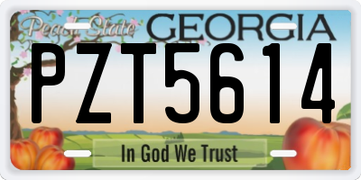 GA license plate PZT5614