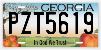 GA license plate PZT5619