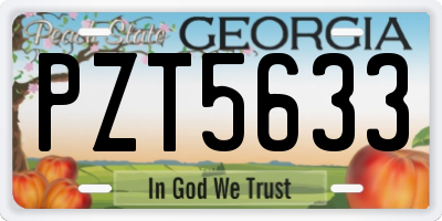 GA license plate PZT5633