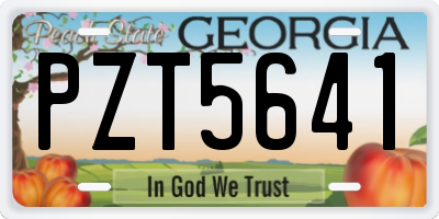 GA license plate PZT5641