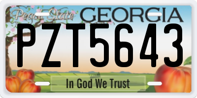 GA license plate PZT5643