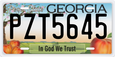 GA license plate PZT5645