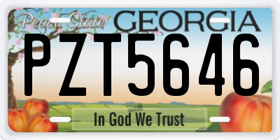 GA license plate PZT5646