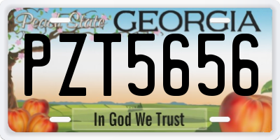 GA license plate PZT5656