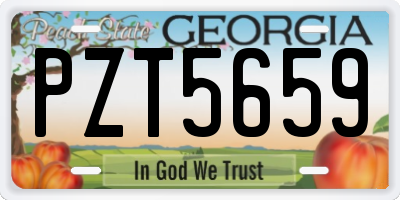 GA license plate PZT5659