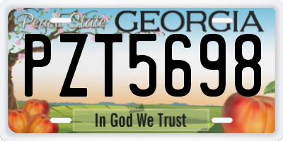 GA license plate PZT5698