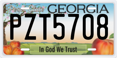 GA license plate PZT5708