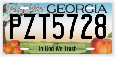 GA license plate PZT5728