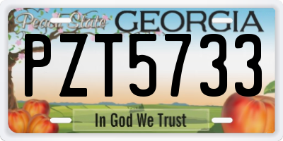 GA license plate PZT5733