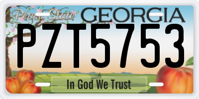 GA license plate PZT5753