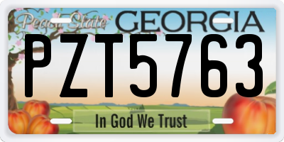 GA license plate PZT5763