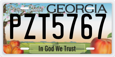 GA license plate PZT5767