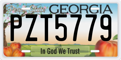 GA license plate PZT5779