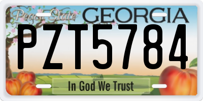 GA license plate PZT5784