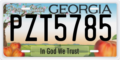 GA license plate PZT5785