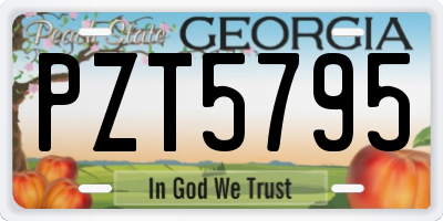 GA license plate PZT5795