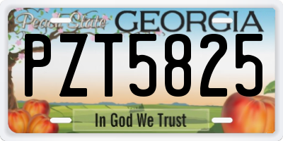 GA license plate PZT5825