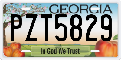 GA license plate PZT5829