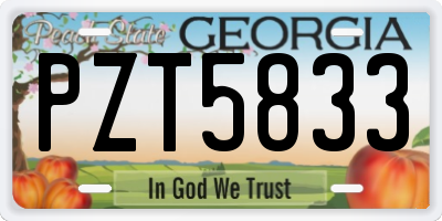 GA license plate PZT5833
