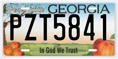 GA license plate PZT5841