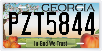 GA license plate PZT5844
