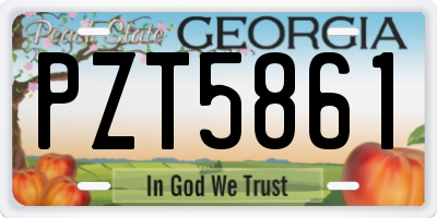GA license plate PZT5861