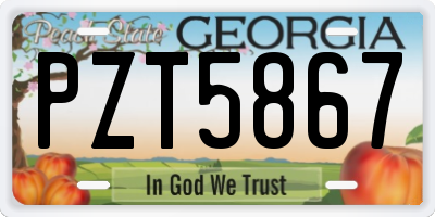 GA license plate PZT5867