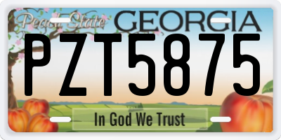 GA license plate PZT5875