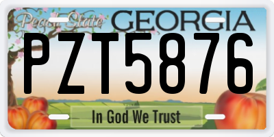 GA license plate PZT5876