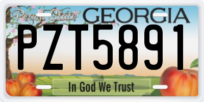 GA license plate PZT5891