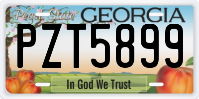 GA license plate PZT5899