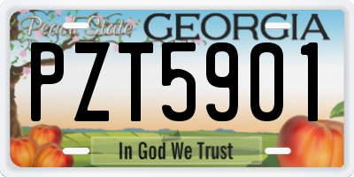 GA license plate PZT5901