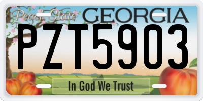 GA license plate PZT5903