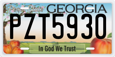 GA license plate PZT5930