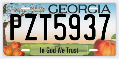 GA license plate PZT5937