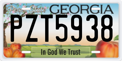 GA license plate PZT5938