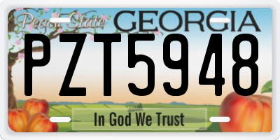 GA license plate PZT5948