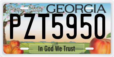 GA license plate PZT5950