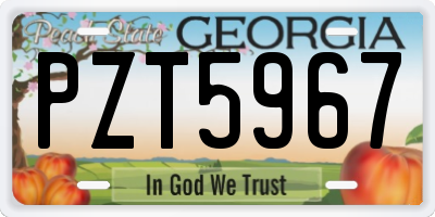 GA license plate PZT5967