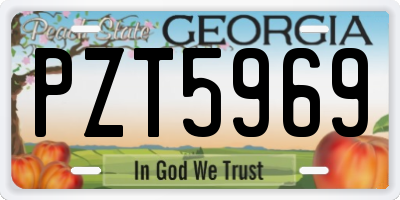 GA license plate PZT5969