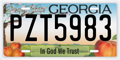 GA license plate PZT5983