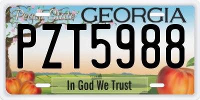 GA license plate PZT5988