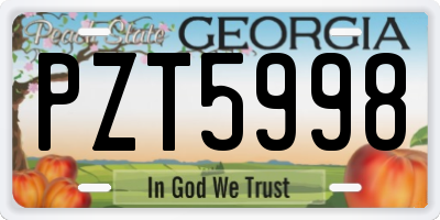 GA license plate PZT5998
