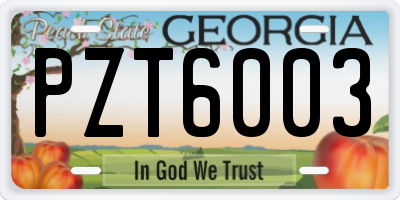 GA license plate PZT6003