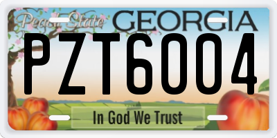GA license plate PZT6004