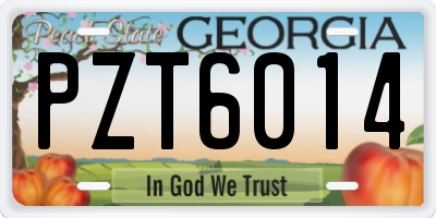 GA license plate PZT6014